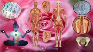 Mesa Terapêutica de Biomagnetismo
