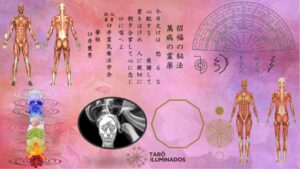 Harmonização Equilíbrio Moxa